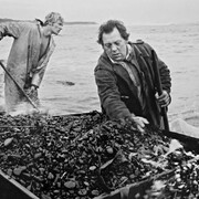 Chris Killip, Netting Seacoal, Lynemouth, 1983 inkjet print 50 x 40 cm courtesy  the artist