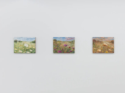 Cooper Cox, The view from upstairs, exhibition view. Courtesy of Ochi Projects