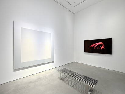 Rob Pruitt, The light is changing, exhibition view. Courtesy of 303 Gallery
