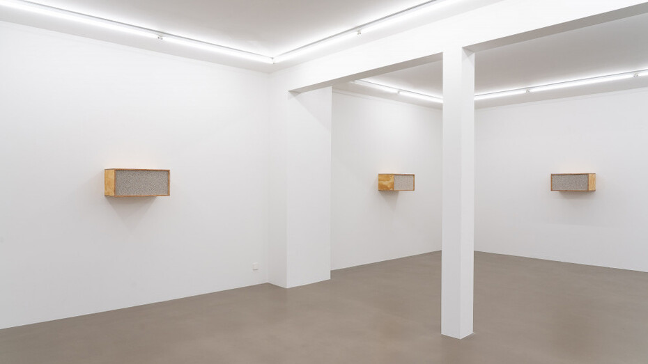 Henrik Håkansson, An ideal for living (The insect societies, prototype), ausstellungsansicht. Mit freundlicher genehmigung der Galerie Meyer Riegger