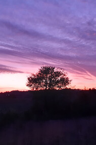 Il pensiero non si ferma quasi mai a obbiettivi individuali, foto Valeria Nardi