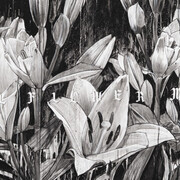 Hiroyasu Tsuri, Full flower moon (detail), 2025. Courtesy of Backwoods Gallery