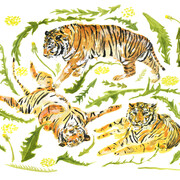 Tigers © Caroline Rose