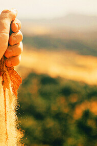 "The men dug and dug but only found dirt"