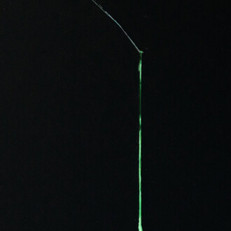 Herbert Warmuth, Grün durch schwarz (detail), 2021. Mit freundlicher genehmigung der Rehbein Gallery