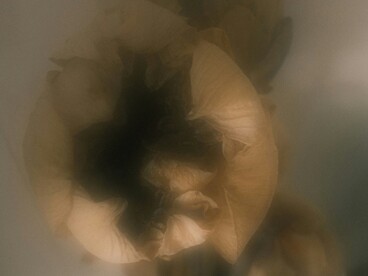 Non si tratta solo di rimuovere polvere o sporcizia, ma di liberarsi da energie negative, creando uno spazio armonioso che favorisce la serenità interiore