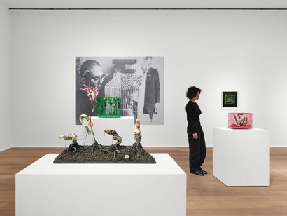 Tetsumi Kudo, Microcosms, exhibition view. Courtesy of Hauser & Wirth Gallery