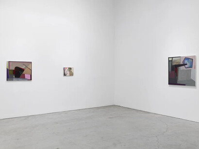 Brenda Goodman, The sum of its parts, exhibition view. Courtesy of Sikkema Jenkins & Co.