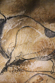 A large bison, depicted through charcoal drawings with a stump technique and flint outlining, from the Pont d'Arc Cave, France