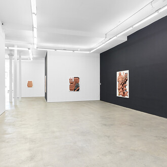 Younguk Yi, Mutant lab, exhibition view. Courtesy of the Hole