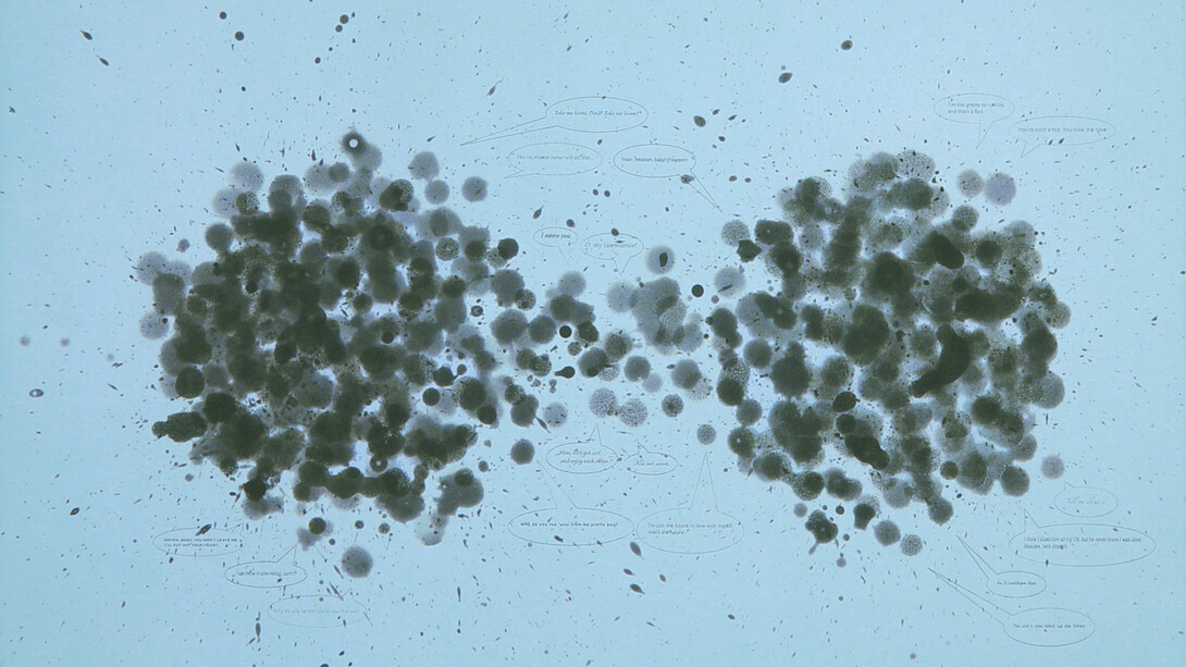 Fred Wilson, Exchange (detail), 2004. Courtesy of Crown Point Press