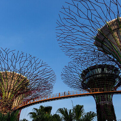 Los superárboles son estructuras arbóreas que dominan el paisaje de los Jardines, con alturas que oscilan entre los 25 y los 50 metros. Jardines junto a la bahía. Singapur