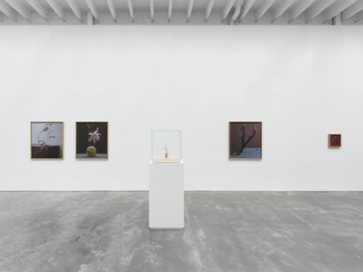 Various artists, Claudine’s house, exhibition view. Courtesy of Ross + Kramer Gallery