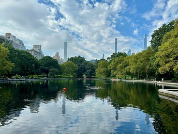 Reflections of trees and skyscrapers coexist in harmony—showcasing the vital role of parks in mental and physical health