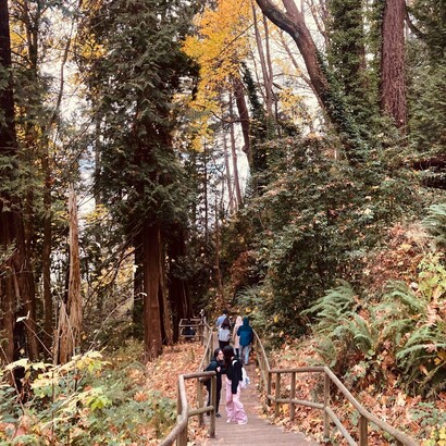 Going down the stairway that leads to Wreck Beach, Vancouver, Canada