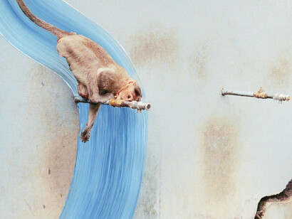 Vasantha Yogananthan, Drinking, 2016. Courtesy of Rijksmuseum