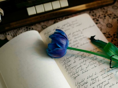 A blue flower on a diary, reflecting the beauty of emotions that those pages hold