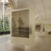 Alia Farid, A sounding of the Earth, exhibition view. Courtesy of Glyptotek