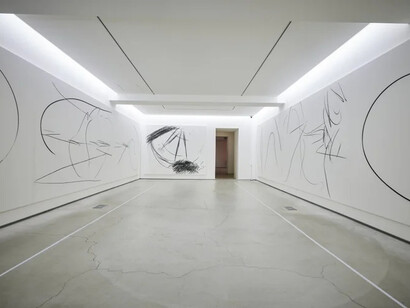 Hyong Nam Ahn, Inseparable, exhibition view. Courtesy of Waterfall Arts Foundation 
