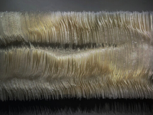 "Recuerdos del Cañón Red Rock".
Escultura encáustica en papel Kozo, sobre panel de abedul, 2024