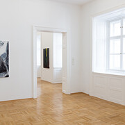 Herbert Brandl. Courtesy of Galerie nächst St. Stephan