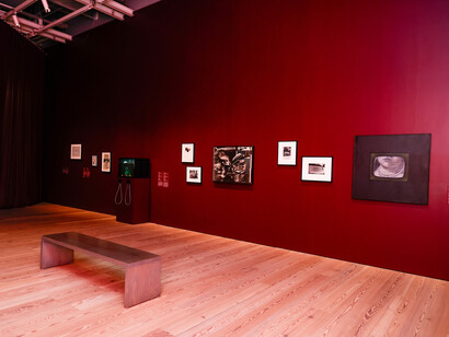 Sixties surreal, exhibition view. Courtesy of the Whitney Museum of American Art
