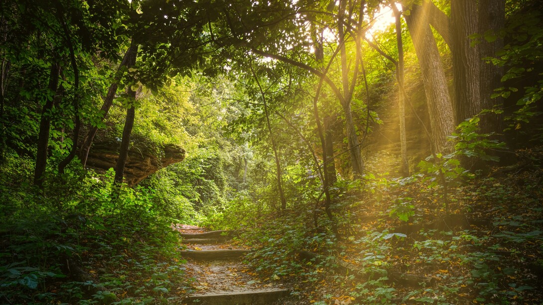 Sono pochi quelli che pensano al percorso che va costruito e portato avanti affinché tutto quel buon futuro ricada su di noi