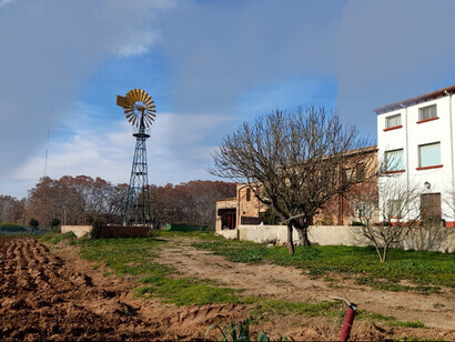 El paisaje de Gallecs es eminentemente agroforestal y representa una de las mayores extensiones actuales de cultivos de cereales de la comarca del Vallès. Fotografía Oscar Farrerons.Molino de viento, Masía Can Salvi, Gallecs, Barcelona, España