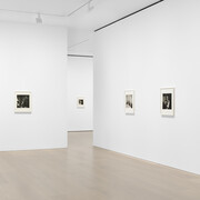 Diane Arbus, Sanctum sanctorum, exhibition view. Courtesy of David Zwirner Gallery. Photo by Anna Arca
