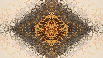 Economia e olismo non solo possono convivere, ma insieme generano valore più ricco, duraturo e autentico