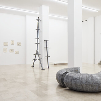 Ana Lupas, Armature, exhibition view. Courtesy of P420 