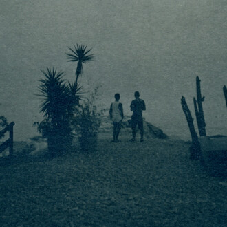 Thibaud Yevnine, Sans titre, cyanotype (détail), 2025. Avec l'aimable autorisation de La Châtaigneraie © Thibaud Yevnine