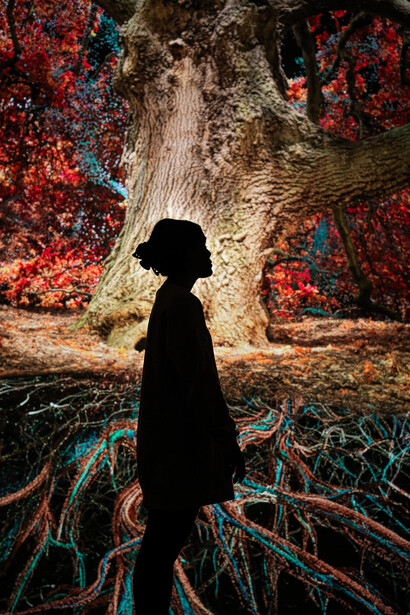 Marshmallow Laser Feast, Of the oak, exhibition view. Courtesy of Yorkshire Sculpture Park