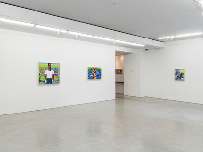 Lamar Peterson, The view from outside, exhibition view. Courtesy of Federicks & Freiser 