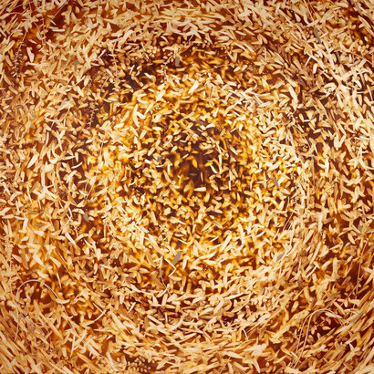 Brad Kunkle, Gold portal 7.22.25. Courtesy of Momentum Gallery