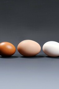 Eggs are among the main food sources of choline