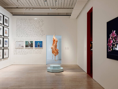 Various artists, The hooligans, exhibition view. Courtesy of White Rabbit Gallery