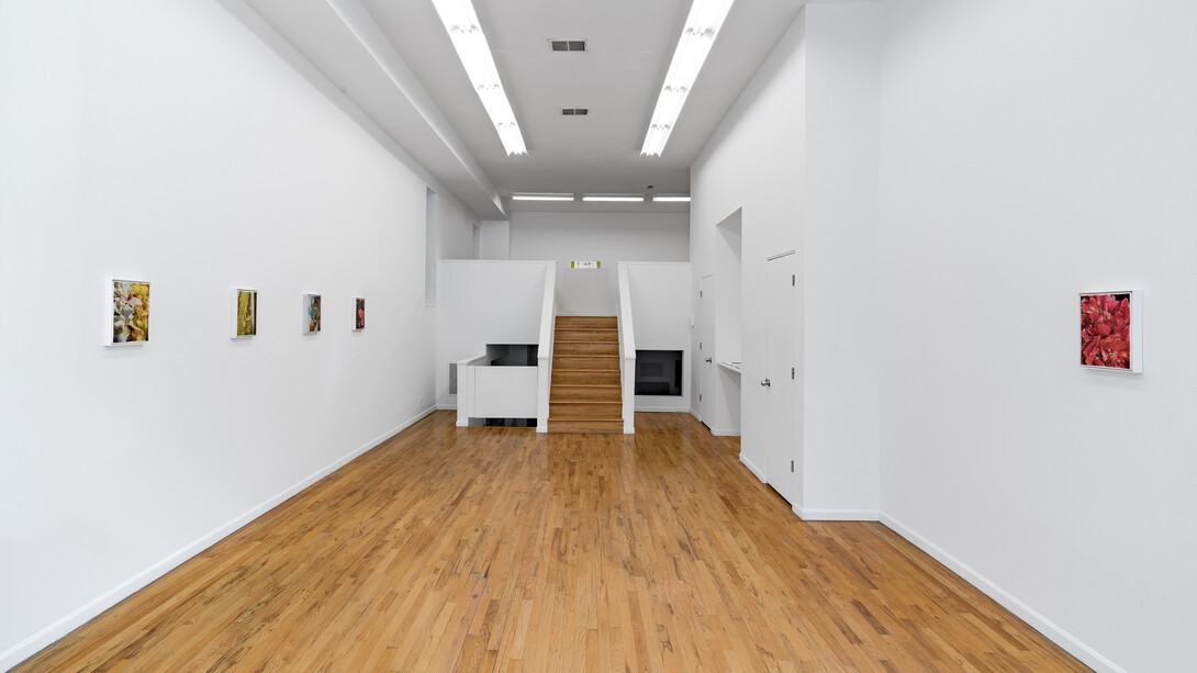 Lauren Spencer King, In pursuit, exhibition view. Courtesy of Regards Gallery