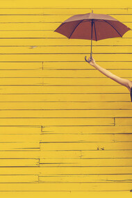 You are creating your own movie, your own life