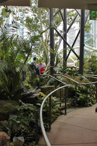 Located at Amazon’s Seattle headquarters, the Amazon Spheres are three interconnected glass conservatories designed by NBBJ and Site Workshop to integrate nature into the workplace