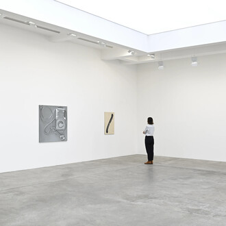 Paul Sietsema, vue de l'exposition. Avec l'aimable autorisation de la galerie Marian Goodman