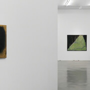 Ryuji Tanaka, Exhibition view. Courtesy of Simon Lee Gallery