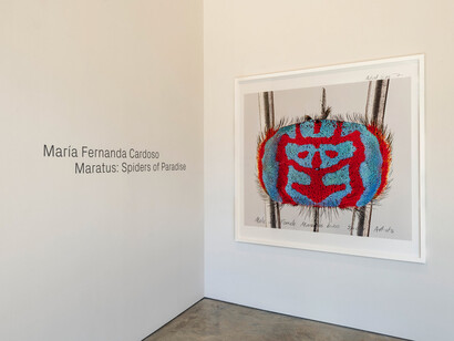 María Fernanda Cardoso, Maratus: spiders of paradise, exhibition view. Courtesy of Sicardi | Ayers | Bacino