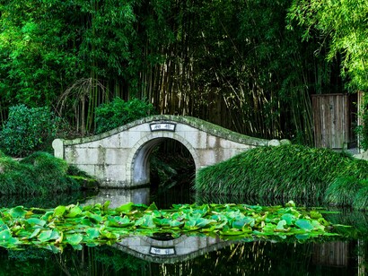 A simple bridge framed by native plants, reflecting the careful balance small economies must walk when navigating global shocks