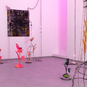 Zsuzsi Magyari, Inner stem, exhibition view. Courtesy of am projects. Photo by Mátyás Gyuricza