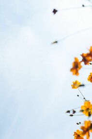 La libertad y la tolerancia: los dos pilares para fundamentar una sociedad democrática según Stuart Mill