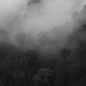 Ludwig Spaude, 0438 – Unter dem gleichen Himmel (detail), 2025. Courtesy of Galerie Albrecht