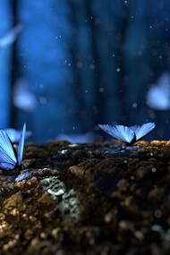 A incerteza do tempo nos leva a refletir sobre o que realmente importa