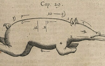 "Cochinillo", ilustración del libro "Gastronomía, cultura alimentaria, modales en la mesa, comida y preparación", 1657