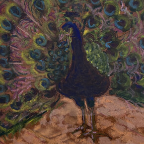 Anne Mansour, Peacock (detail). Courtesy of Bermudez Projects